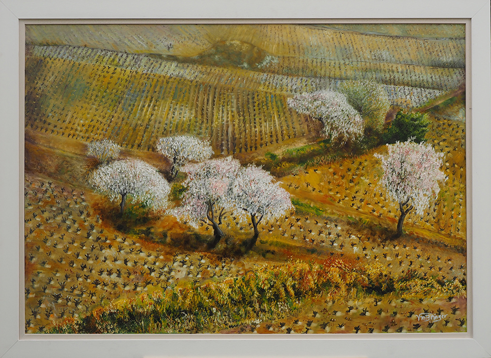 Printemps de vigne