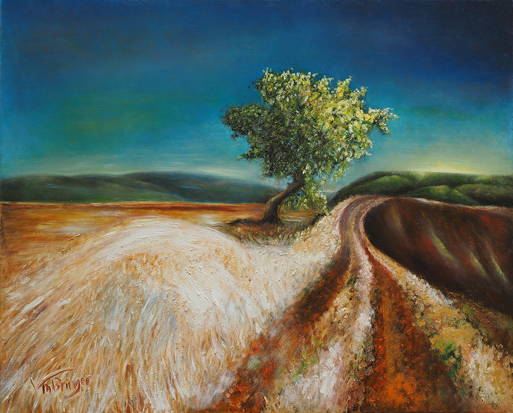 Paysage tranquille